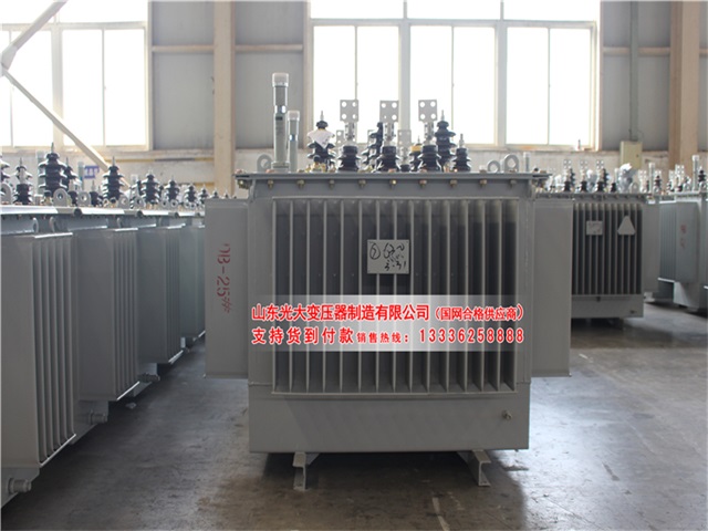 庆阳S22-4000KVA油浸式变压器